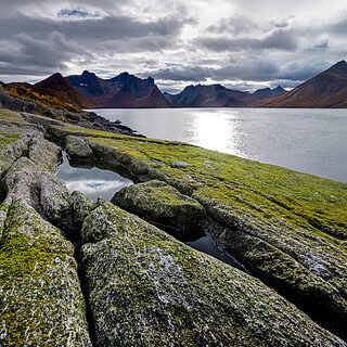 Senja - Husoy